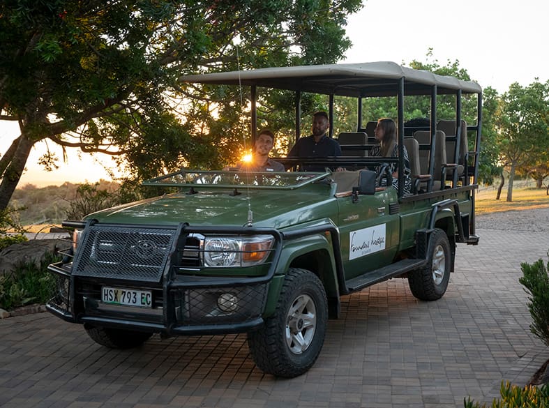 Game drive on the Founders Reserve, gallery image 1 of 6