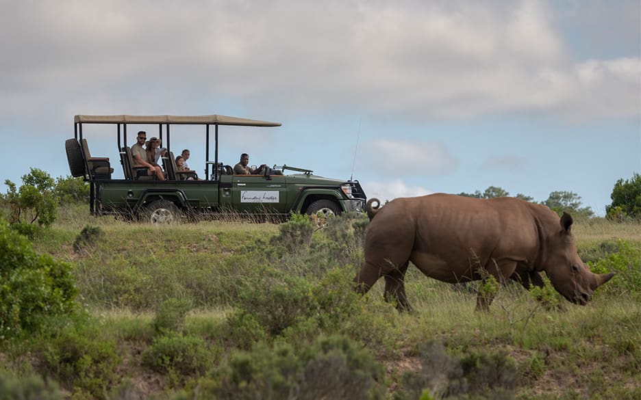 Home-page-experiences-gallery-safari Game drive on the Founders Reserve, Eastern Cape