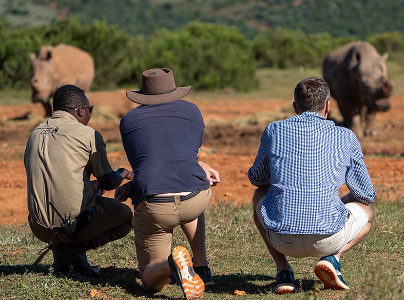 Rhino walking safari at Founders Lodge, gallery image 2 of 4