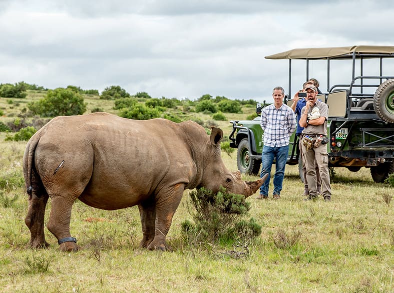 Rhino walking safari at Founders Lodge, gallery image 4 of 4