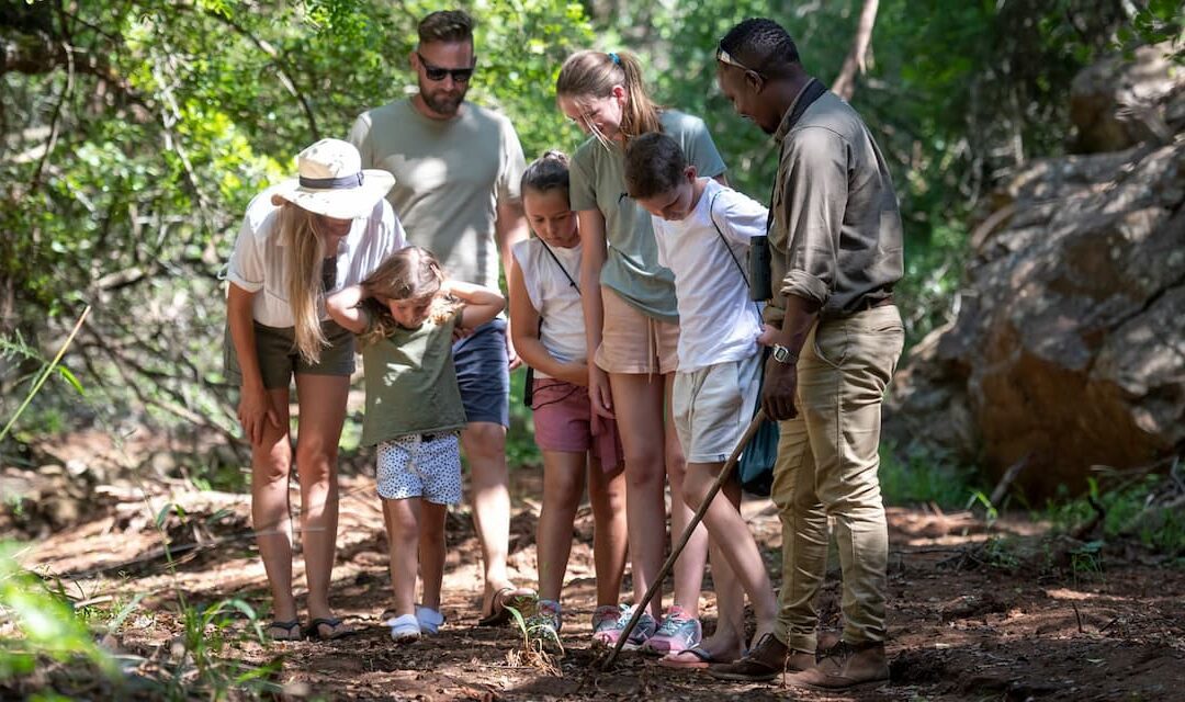 Safari for Families & Multigenerational Travel in South Africa