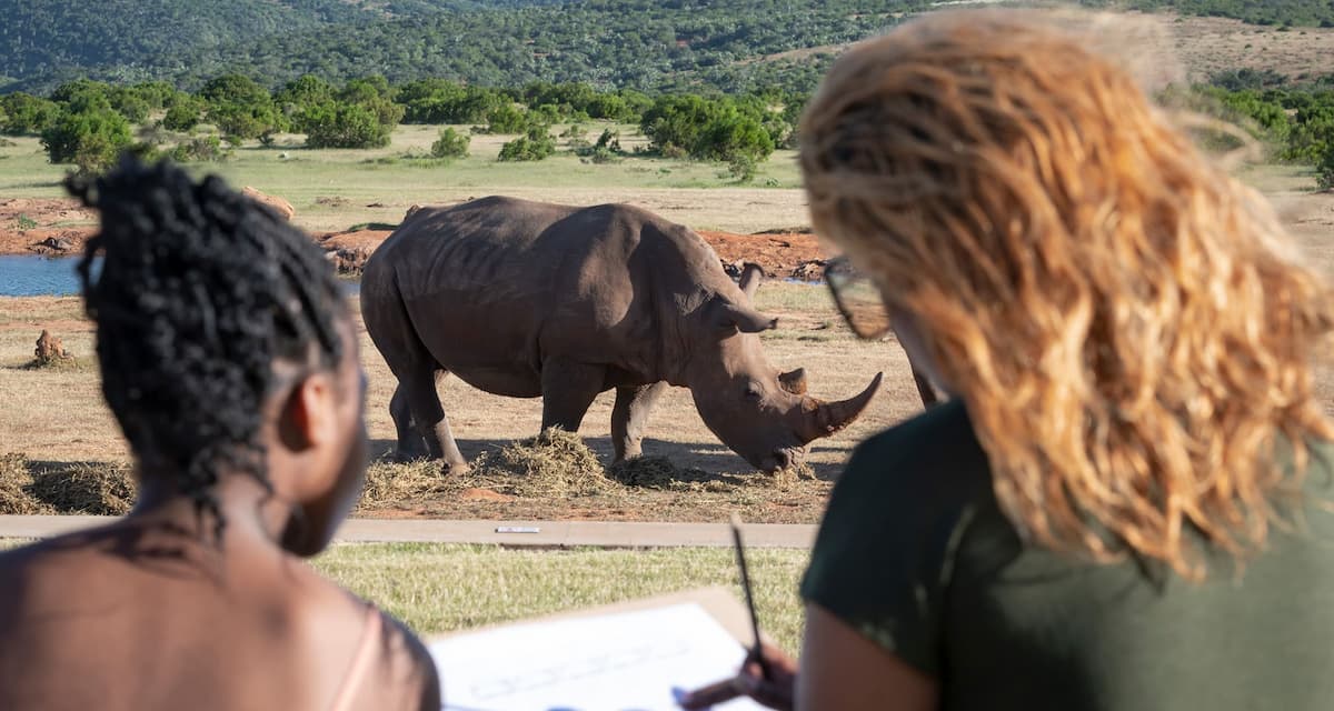 Rhino monitoring experience