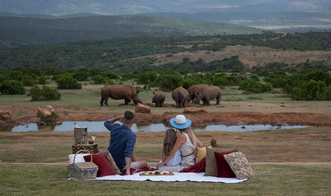 Malaria-Free Safari in South Africa: A Complete Guide