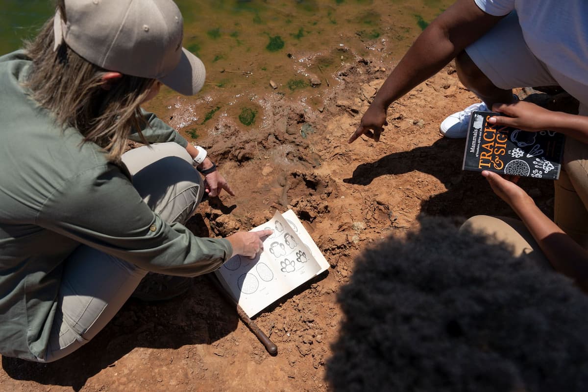 Guide showing animal tracks and signs