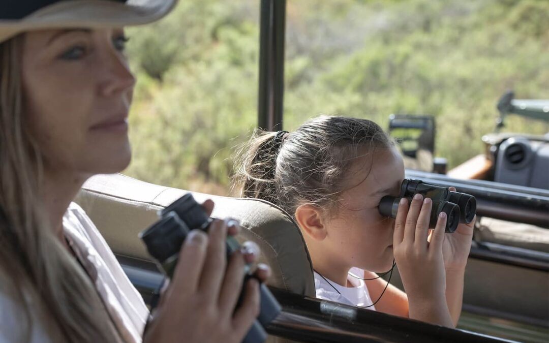 Your First Safari in South Africa: What to Expect