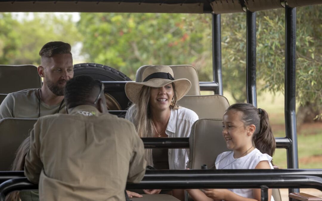 Combining Cape Town, the Garden Route & an Eastern Cape Safari