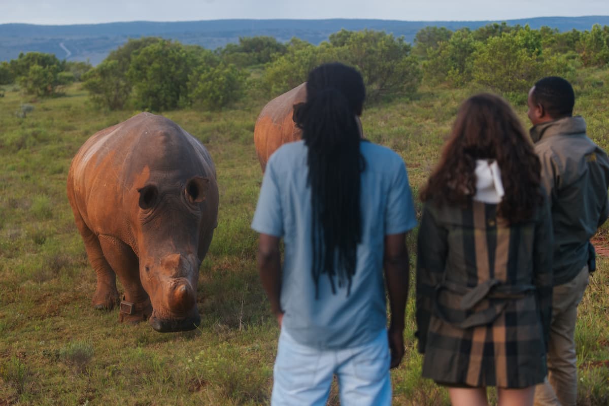 Guests taking part in the rhino monitoring experience