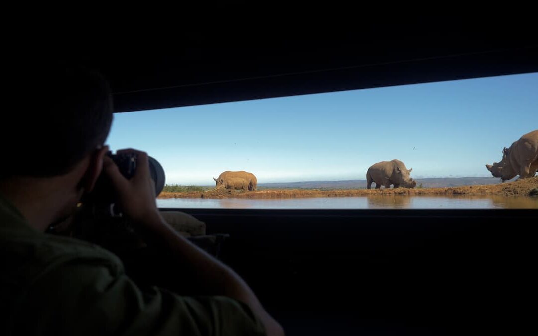 A Photographer’s Guide to the Eastern Cape Safari Wildlife