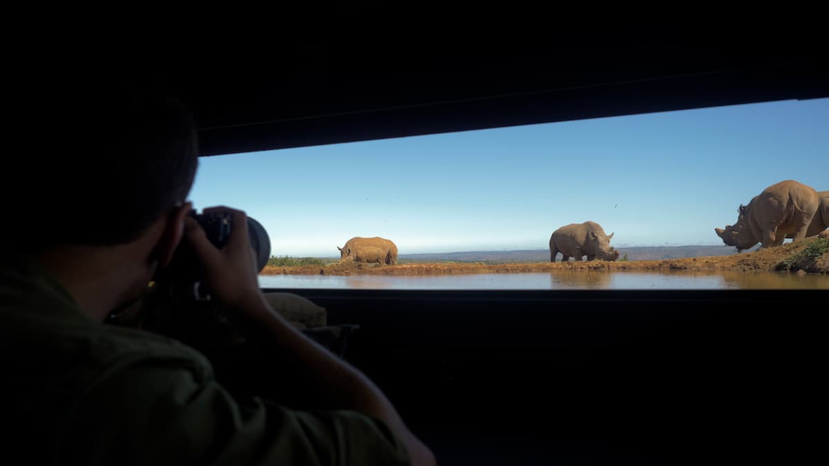 Photographic Hide